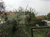 fotografia